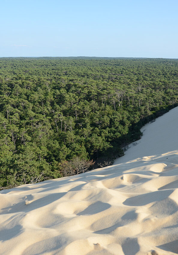 Dune_du_Pyla_2014_2